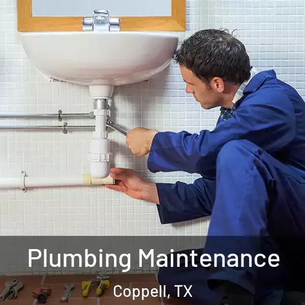  Plumbing Maintenance Coppell, TX
