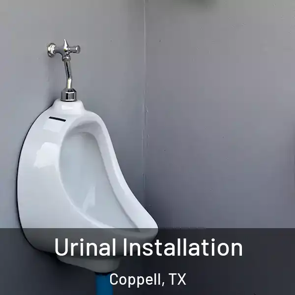 Urinal Installation Coppell, TX